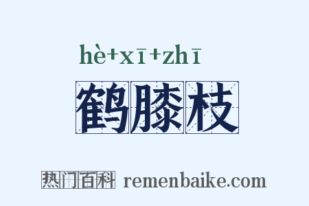 鹤膝枝是什么意思的图片